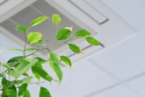 Qualité de l’air intérieur (QAI) : comment garantir un environnement sain chez soi et au travail