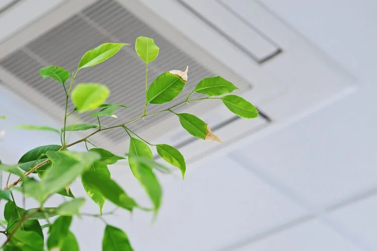 Qualité de l’air intérieur (QAI)