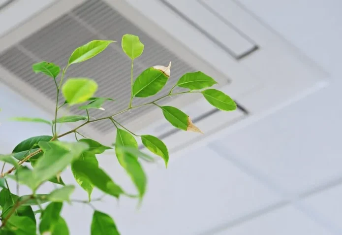 Qualité de l’air intérieur (QAI)
